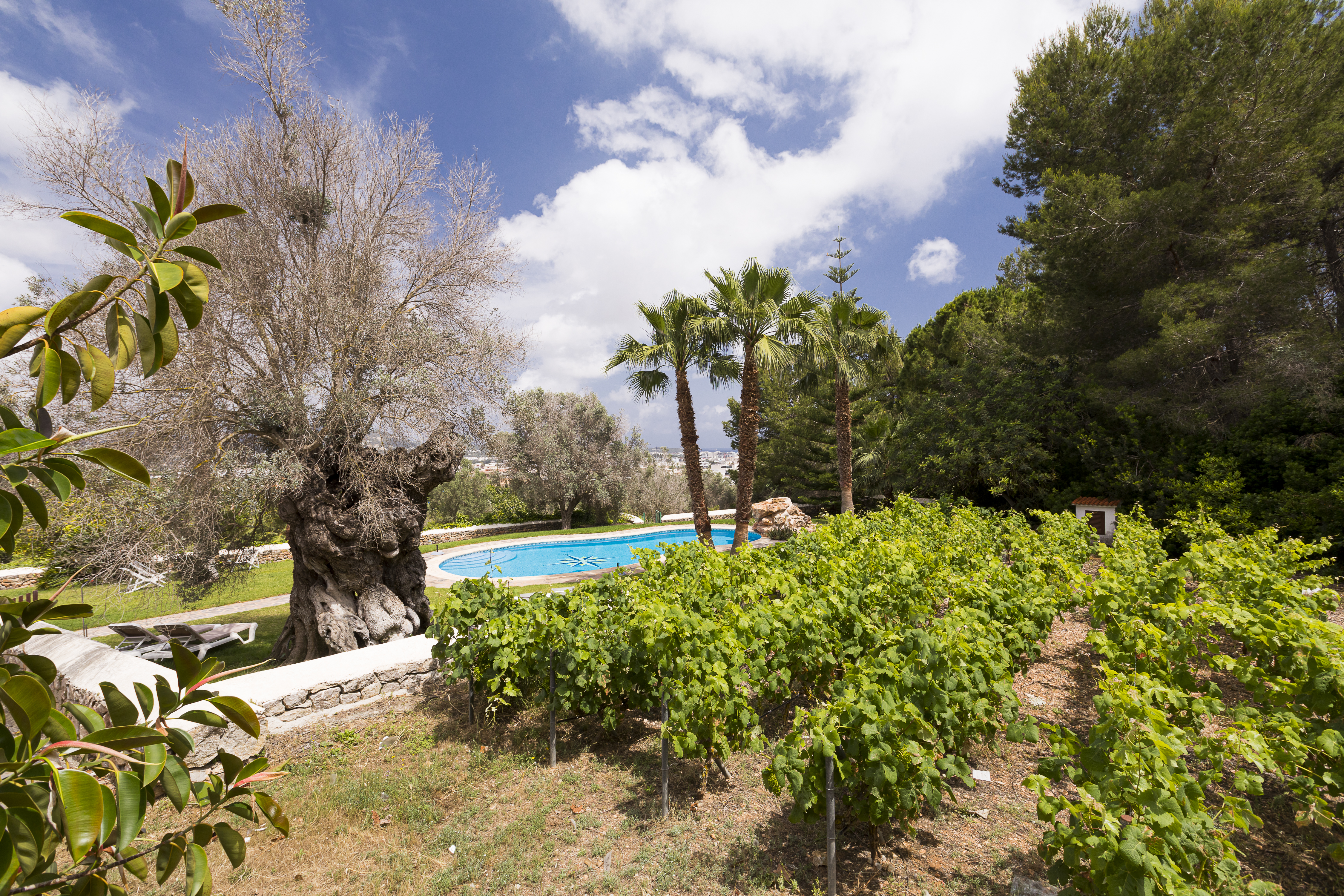 Resa estates rental in jesus 2022 finca private pool in Ibiza house pool and garden green.jpg